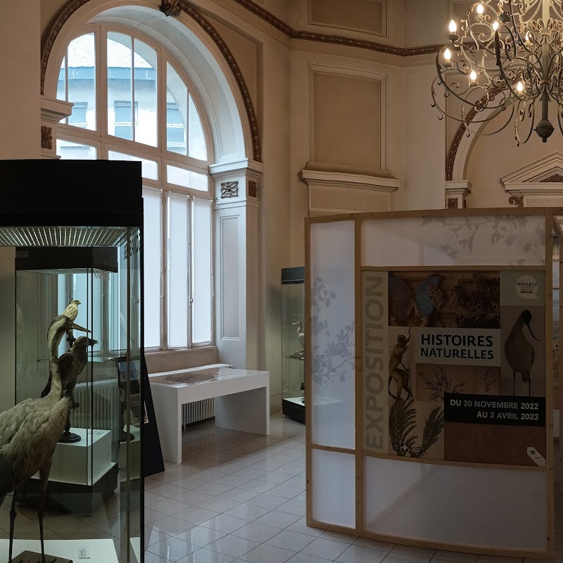 Musée d'art et d'archéologie du Périgord