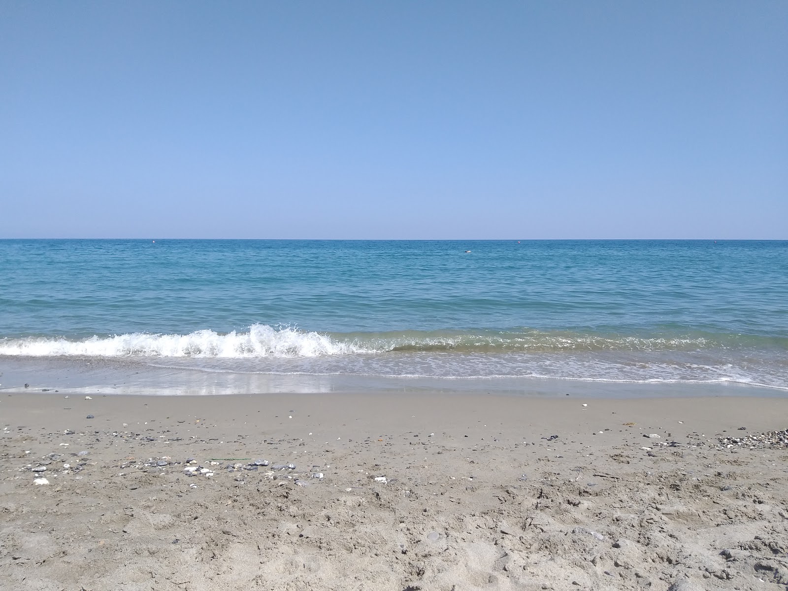 Ceriale dog beach的照片 带有长直海岸