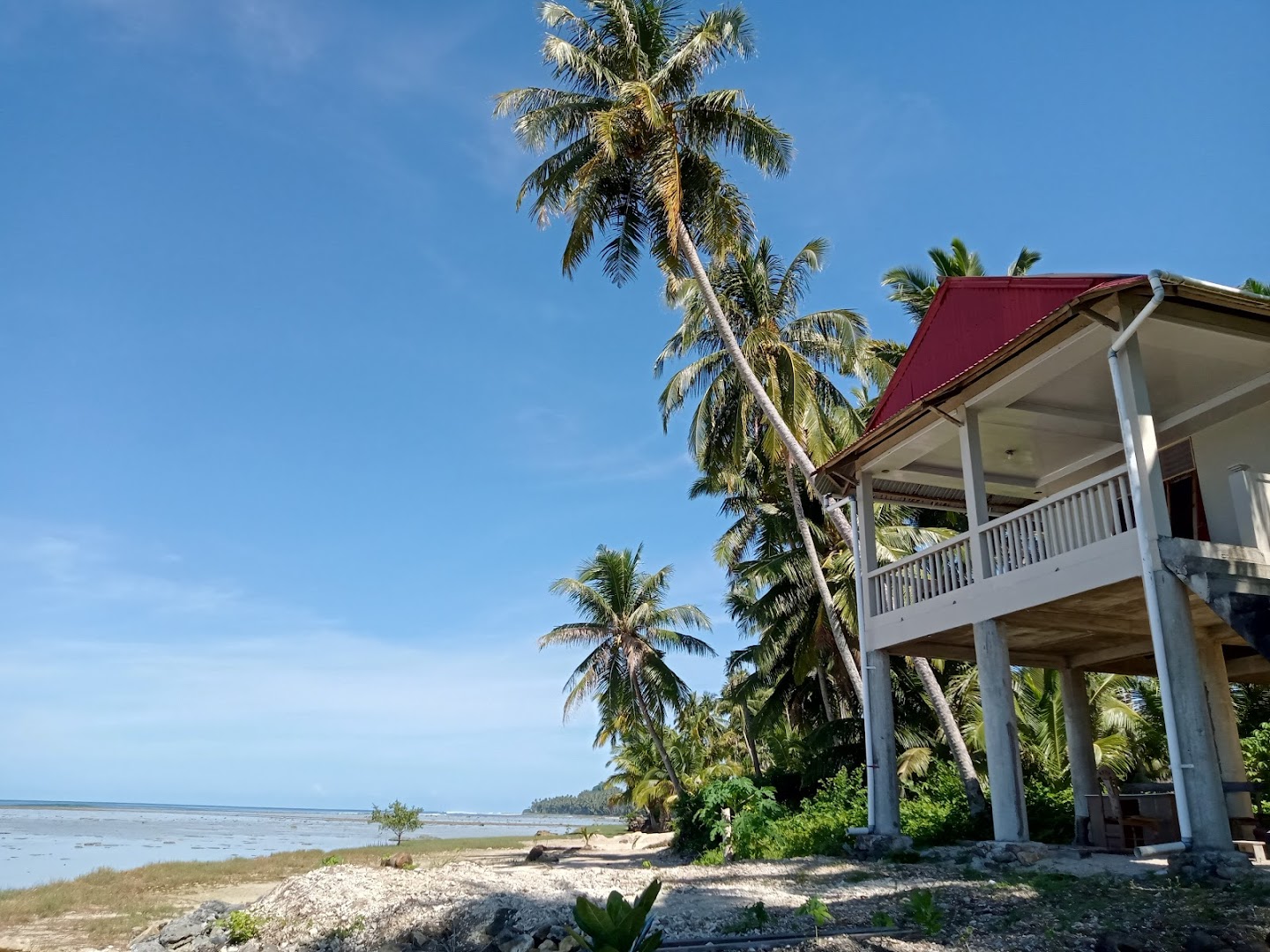 Gambar Yohanes Guesthouse Nias