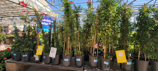 Electronics Store «Best Buy», reviews and photos, 13711 W Bell Rd, Surprise, AZ 85374, USA