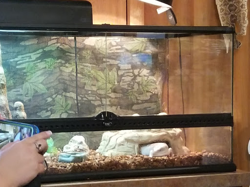 Nature Preserve «Crystal Springs Preserve», reviews and photos, 1609 Crystal Springs Rd, Crystal Springs, FL 33524, USA