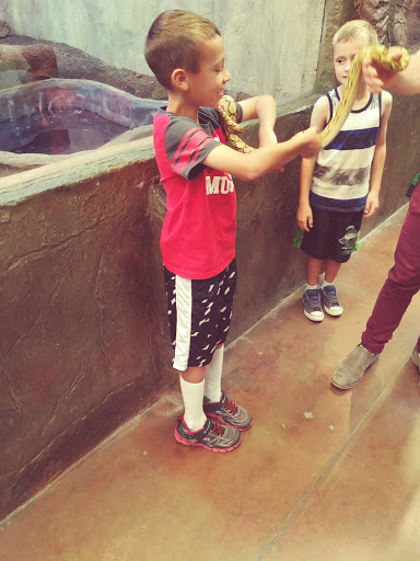 Pet Store «Lost Realms Pets», reviews and photos, 8059 N Cedar Ave, Fresno, CA 93720, USA