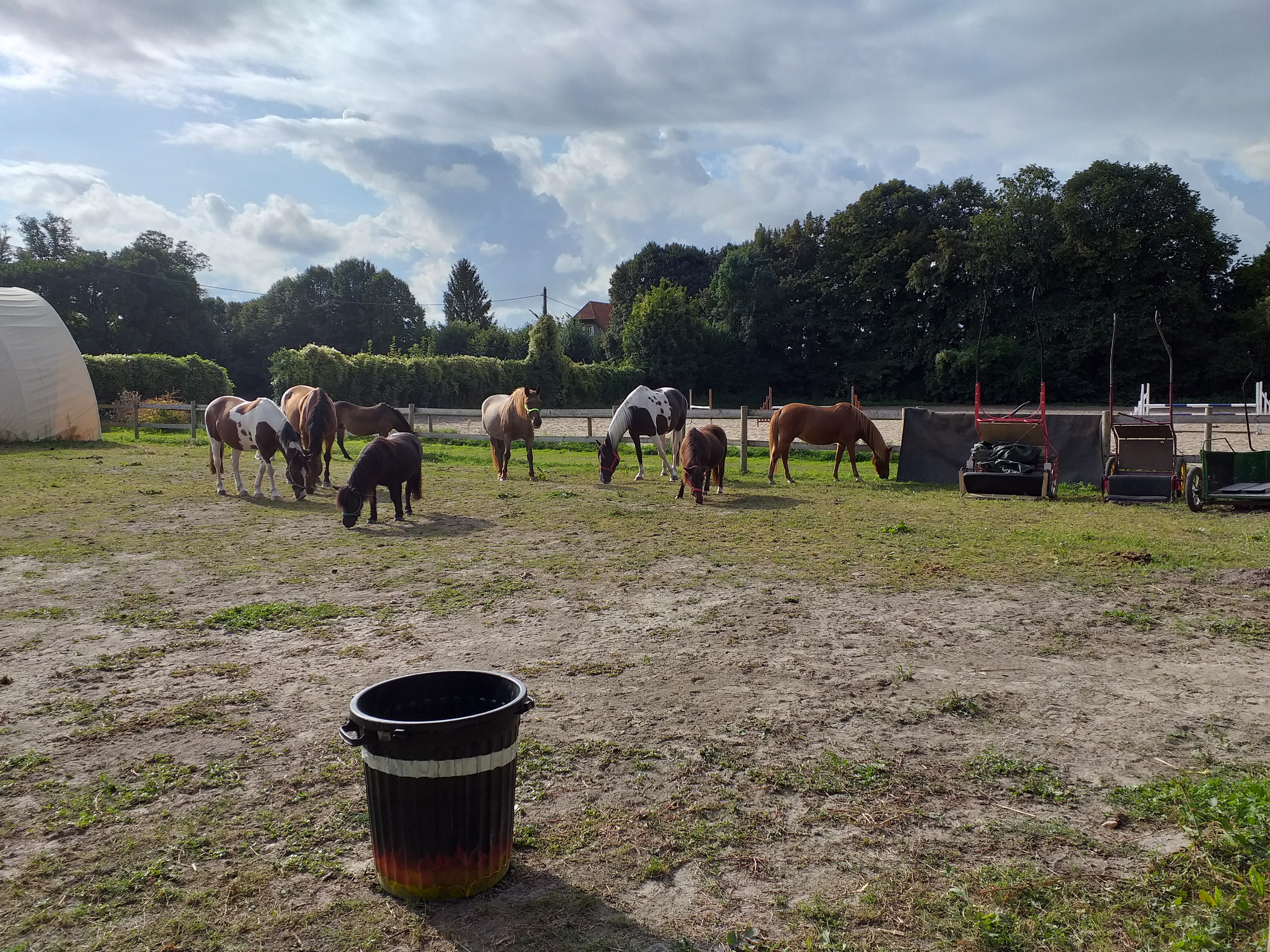 Photo n° 4 de l'avis de pierrette.m fait le 07/09/2019 à 14:57