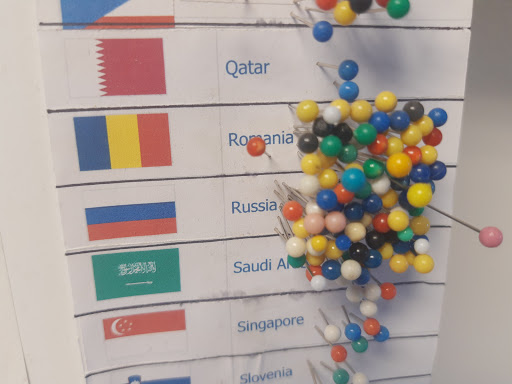 History Museum «Western Antique Aeroplane and Automobile Musem (WAAAM)», reviews and photos, 1600 Air Museum Rd, Hood River, OR 97031, USA