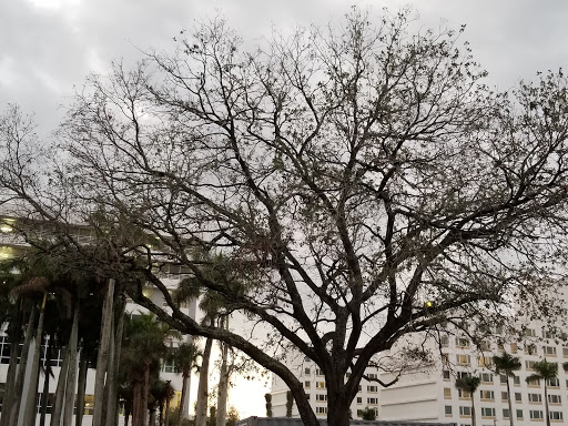 Pet Supply Store «Petco Animal Supplies», reviews and photos, 8111 W Broward Blvd, Plantation, FL 33324, USA