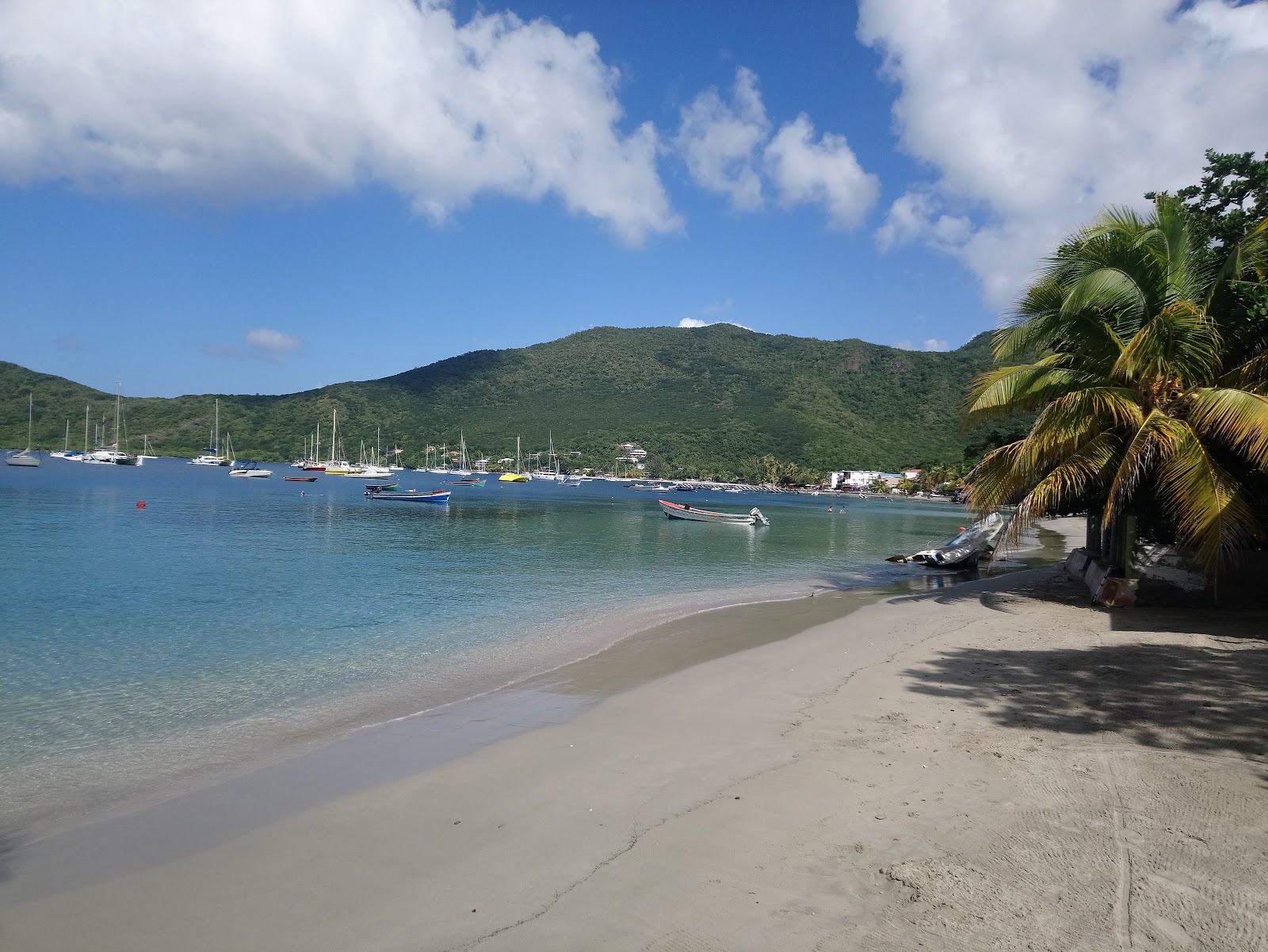 Photo de Grande Anse d'Arlet zone des équipements