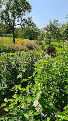 Elixirs et Plantes à Wingen