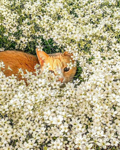National Museum «National Museum of the American Indian», reviews and photos, 1 Bowling Green, New York, NY 10004, USA