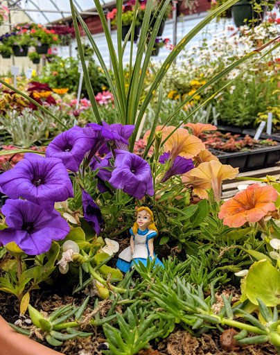 Greenhouse «Stiles Vegetable Farm and Greenhouse», reviews and photos, 11717 Sheridan Rd, Pleasant Prairie, WI 53158, USA