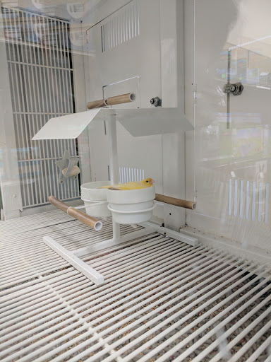 Pet Supply Store «Petco Animal Supplies», reviews and photos, 4226 Veterans Memorial Dr, Batavia, NY 14020, USA