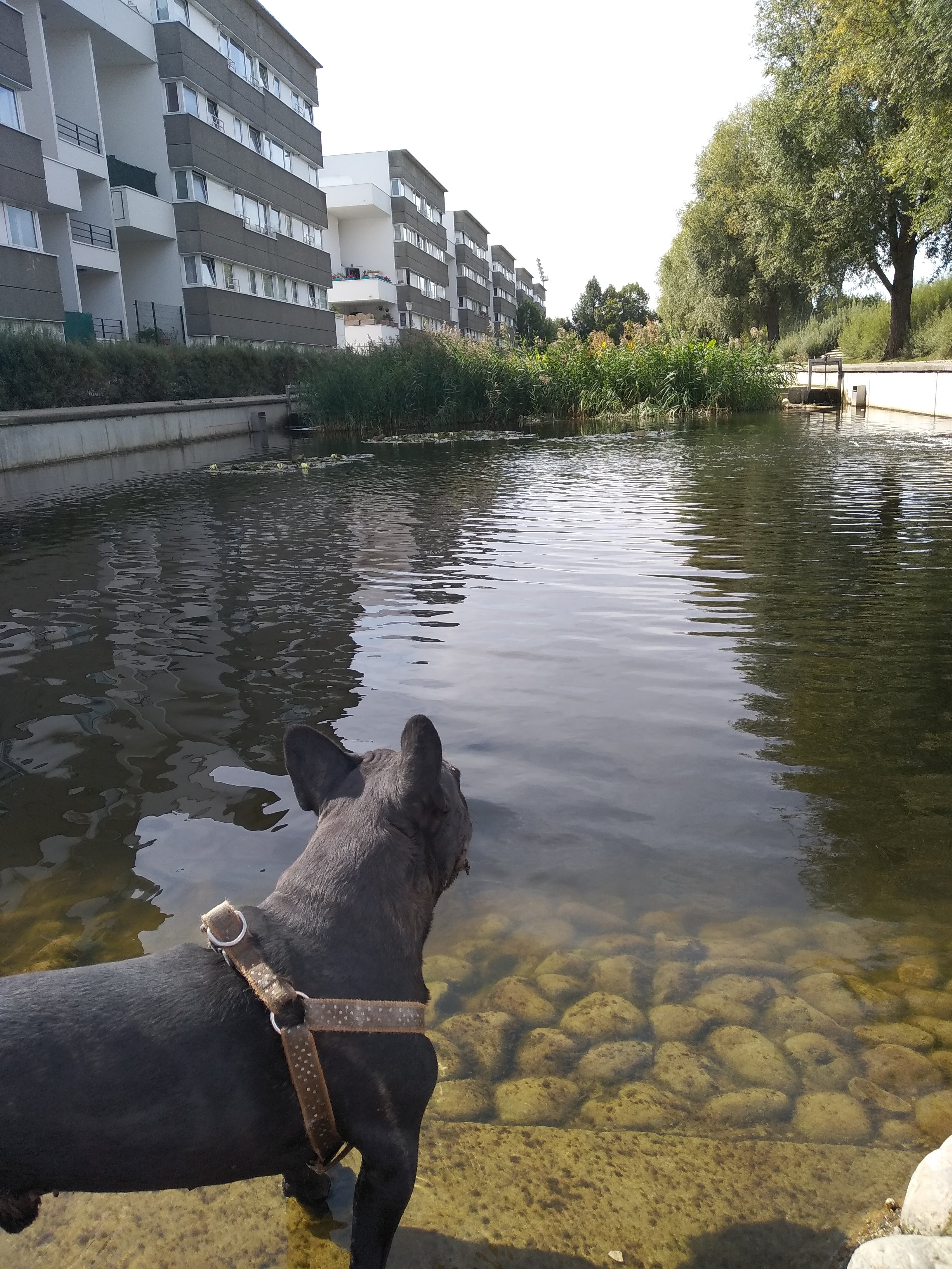 Photo n° 4 de l'avis de nelly.o fait le 16/09/2018 à 12:41