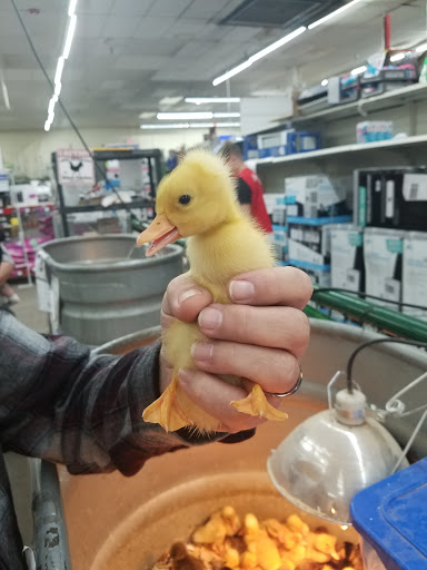 Department Store «Rural King», reviews and photos, 7 Ohio River Plaza, Gallipolis, OH 45631, USA