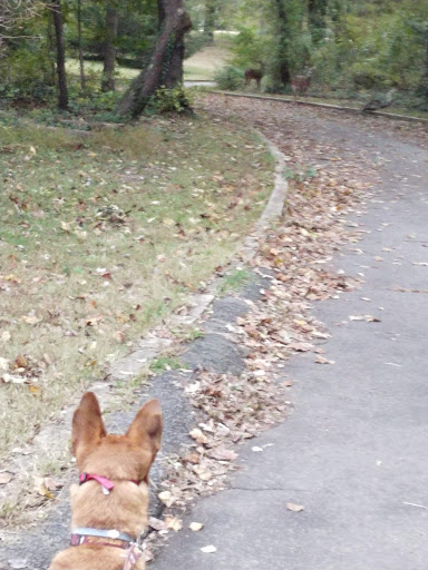 National Park «Fort Hunt Park», reviews and photos, 8999 Fort Hunt Rd, Alexandria, VA 22308, USA