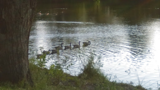 Park «Augsburg Park», reviews and photos, 7145 Wentworth Ave S, Richfield, MN 55423, USA