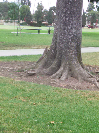 Little Lake Park image