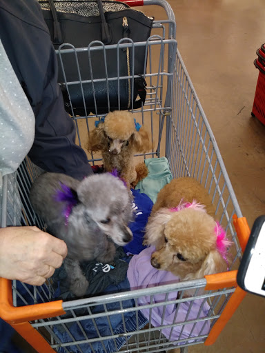 Thrift Store «Thrift Town», reviews and photos, 6328 Fair Oaks Blvd, Carmichael, CA 95608, USA