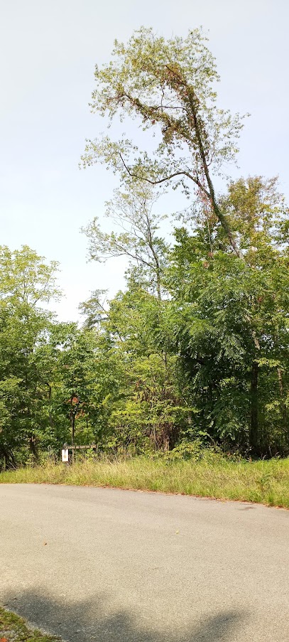 White Oak Nature Preserve