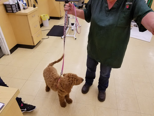 Pet Supply Store «Pet Supplies Plus», reviews and photos, 5229 Library Rd, Bethel Park, PA 15102, USA