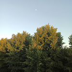 Photo n°4 de l'avis de Simone.t fait le 11/06/2022 à 14:12 sur le  Le Mura à Citta di Castello