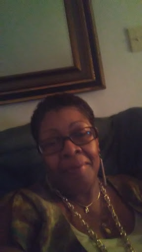 Amusement Park «White Birch Bay Aquatic Center», reviews and photos, 1186 Teson Rd, Hazelwood, MO 63042, USA