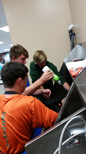 Pet Supply Store «Lemos Feed & Pet Supply», reviews and photos, 1320 Main St, Morro Bay, CA 93442, USA