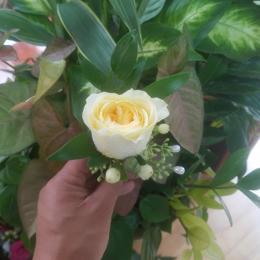 Florist «Alborada Florist», reviews and photos, 17 Huguenot St, New Rochelle, NY 10801, USA