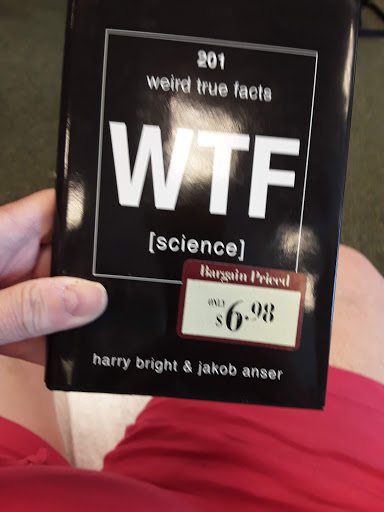 Book Store «Barnes & Noble», reviews and photos, 150 W Swedesford Rd, Berwyn, PA 19312, USA