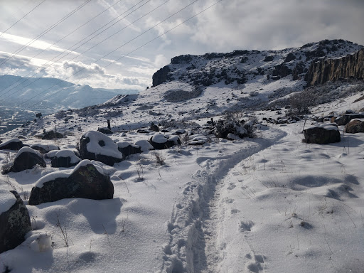 Grocery Store «Safeway», reviews and photos, 1701 Jackson St., Golden, CO 80401, USA