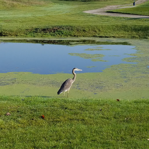 Golf Club «Hickory Creek Golf Course», reviews and photos, 3625 Napier Road, Superior Charter Twp, MI 48198, USA