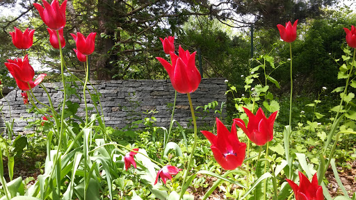 Nature Preserve «Audubon Greenwich», reviews and photos, 613 Riversville Rd, Greenwich, CT 06831, USA