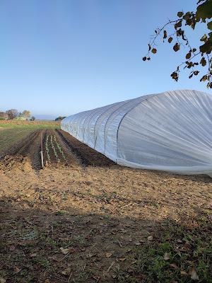 La Ferme de Parrète à Condom