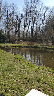 Étangs de la Folie à Tracy-le-Mont