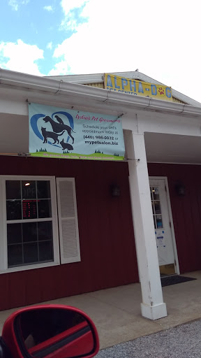 Pet Supply Store «Alpha-Dog Pet Centers, L.L.C.», reviews and photos, 46370 Middle Ridge Rd, Amherst, OH 44001, USA