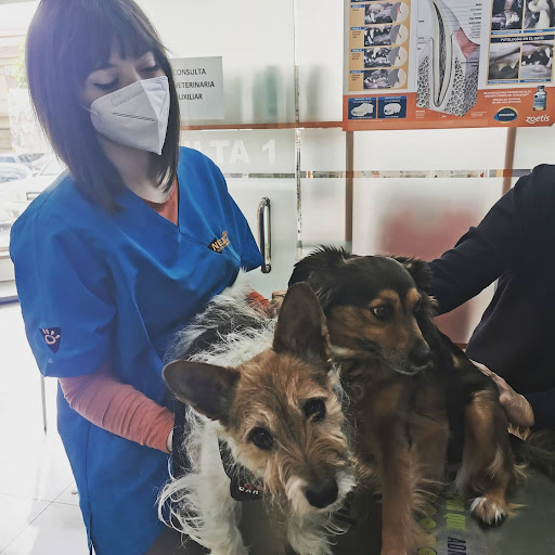 Clínica Veterinaria Nexo Puerto Lumbreras en Puerto Lumbreras