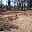 Dog Park