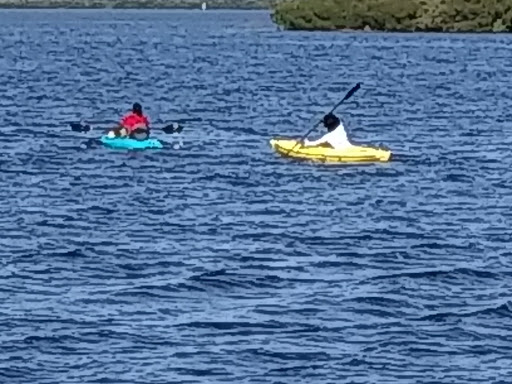 Nature Preserve «Emerson Point Preserve», reviews and photos, 5801 17th St W, Palmetto, FL 34221, USA