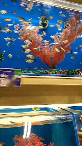 Pet Supply Store «PetSmart», reviews and photos, 842 Dawsonville Hwy, Gainesville, GA 30501, USA