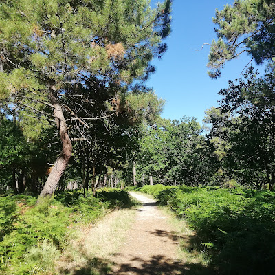 Parcours de santé Montalivet à Vendays-Montalivet