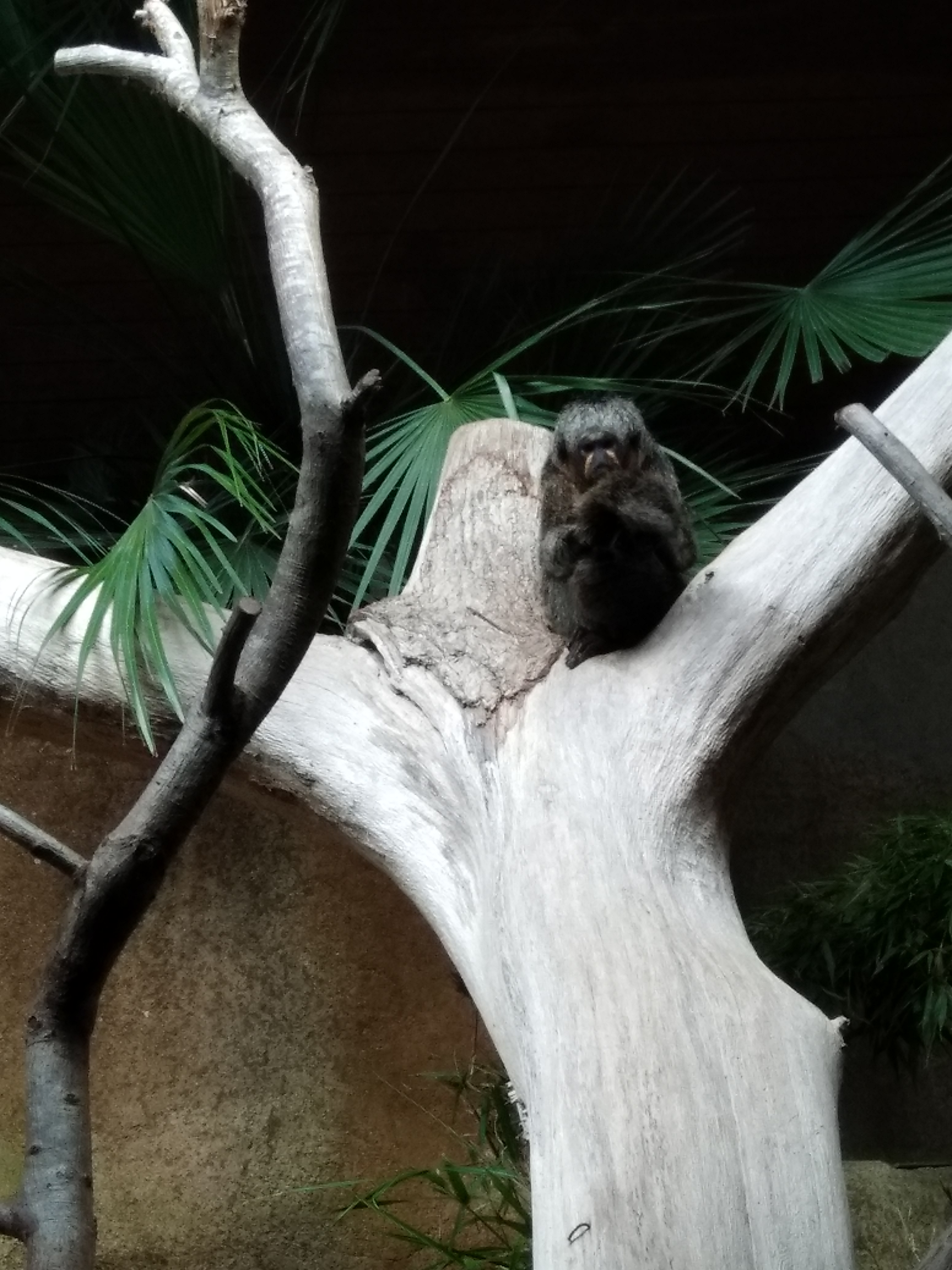 Photo n° 30 de l'avis de carine.a fait le 25/08/2019 à 20:31