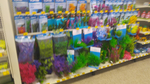 Pet Supply Store «PetSmart», reviews and photos, 98 Providence Hwy, East Walpole, MA 02032, USA