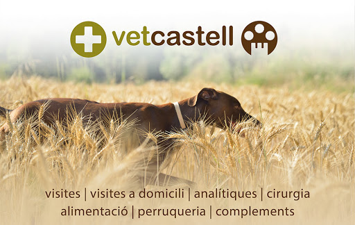 Vetcastell Centre Veterinari en Castellterçol