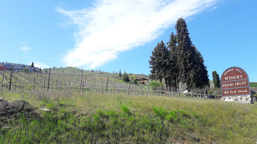 Winery «Tunnel Hill Winery», reviews and photos, 37 US-97 ALT, Chelan, WA 98816, USA
