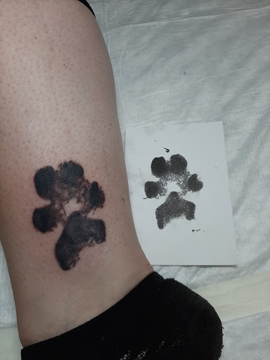 Explore miami dolphins tattoo ideas, creative tattoo ideas in Lakeview, available at Backwoods Tattoo Studio