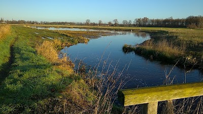Photos of Camperplaats aan het meer Berkendonk, Helmond.