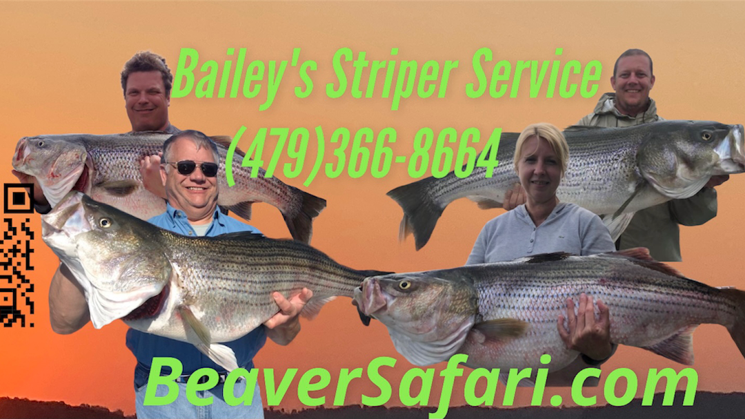 Baileys Beaver Lake Striper Guide Service