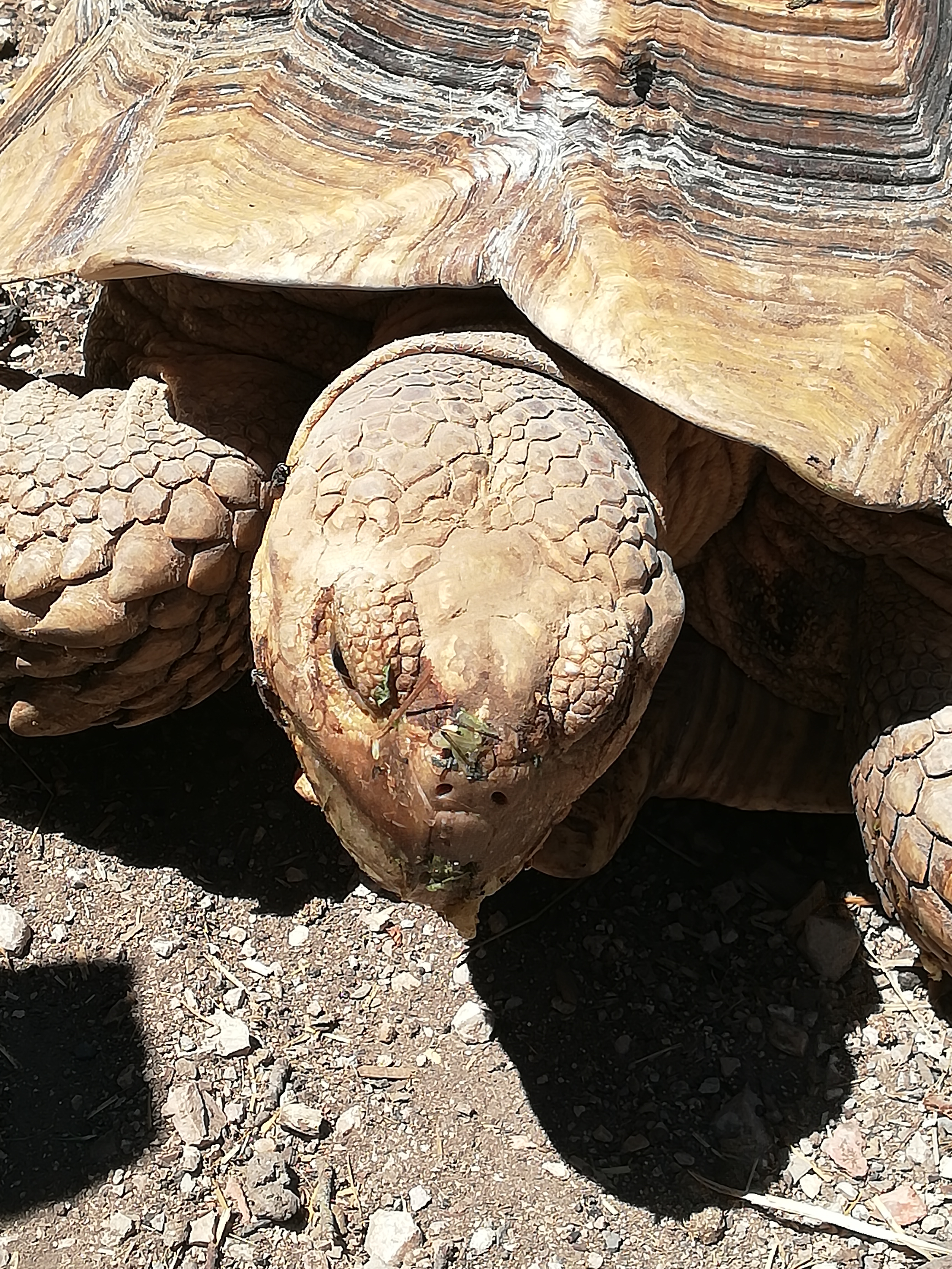 Photo n° 1 de l'avis de Jo.e fait le 05/07/2020 à 21:23