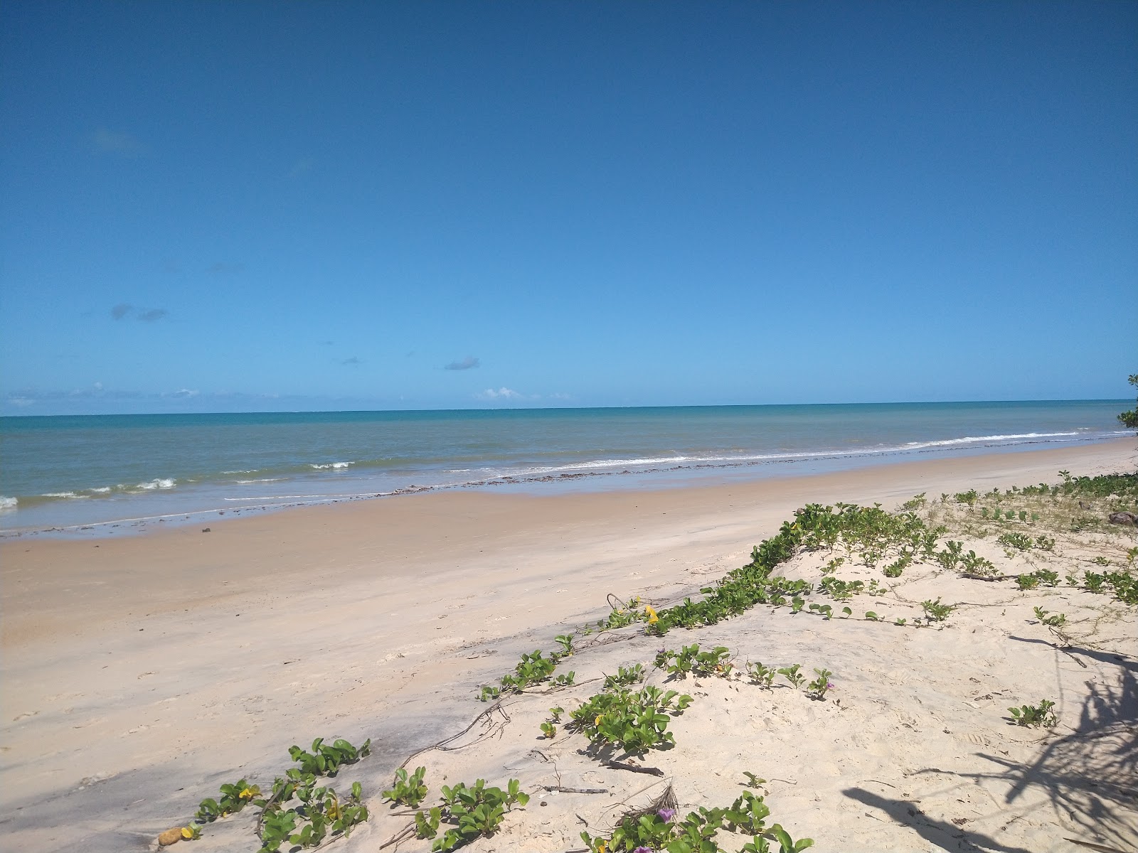 Praia do Veleiro'in fotoğrafı dağlarla çevrili