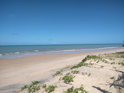 Praia do Veleiro'in fotoğrafı dağlarla çevrili