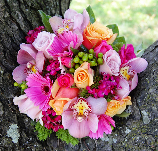 Florist «Blue Moon Florist & Gift Shop», reviews and photos, 1107 Horseshoe Pike, Downingtown, PA 19335, USA