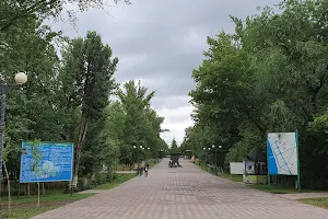 Kirov Park image